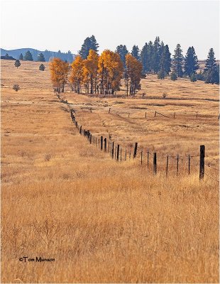 Spokane Co