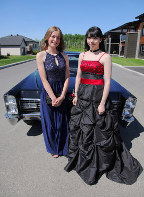 g10/97/519797/3/165647911.jBsuGRlr.jpg