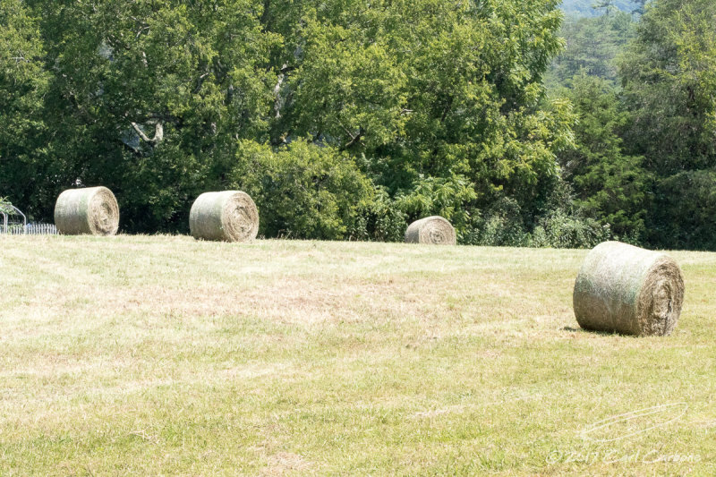 20170822-_N9A5205.jpg