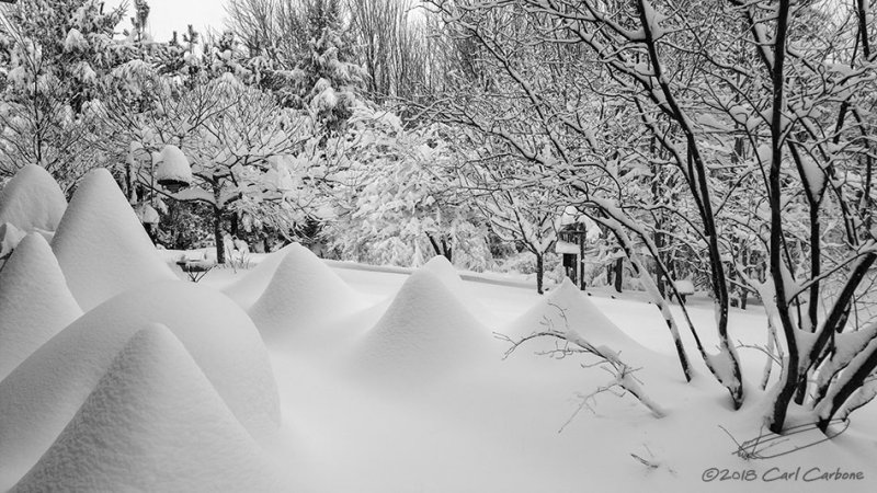 03/02/2018 - LRM_075023.jpg