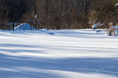 12/28/2017 - _N9A8055.jpg