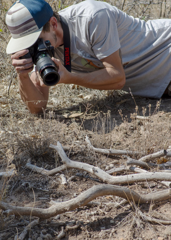 Chris_Horned_Lizard_IMGP4976a.jpg