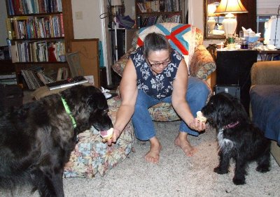 Doggie Birthday Party