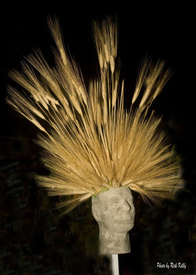 Wheat Head