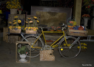Yellow Bike and Yellow Flowers
