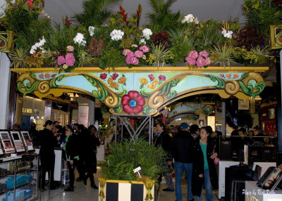 Thousands of people came to observe the flower show