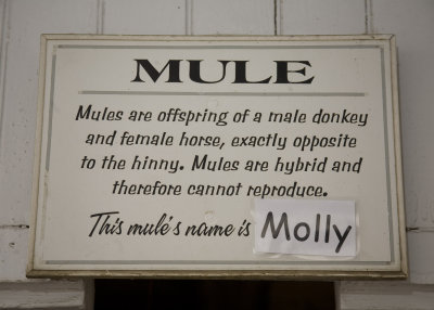 Mule Sign