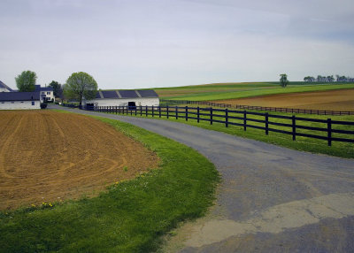 Vast Farmland