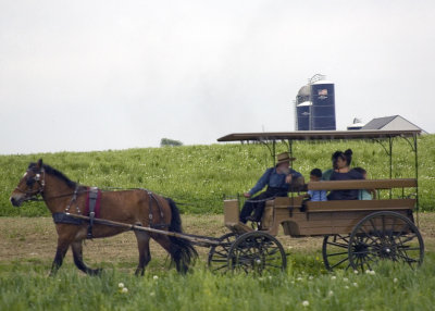 Family Ride