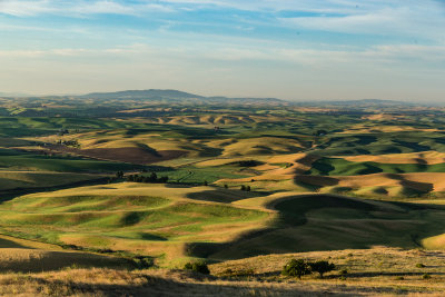 Palouse Loess Hills