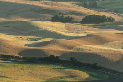 Palouse Loess Hills