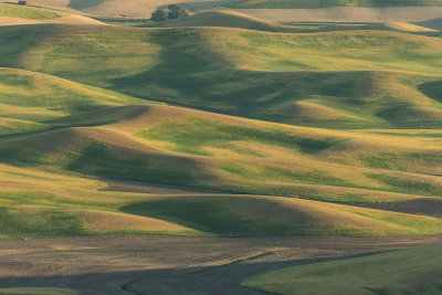 Palouse Loess Hills