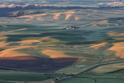 Palouse