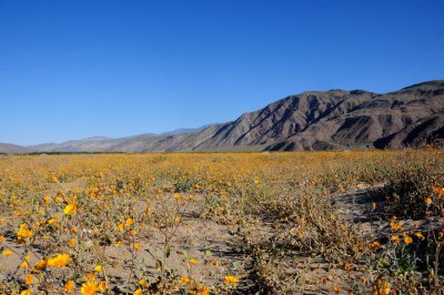 Anza Borrego Desert State Park