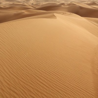 Sand Dunes in the UAE