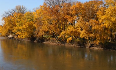 Racoon River in Autumn