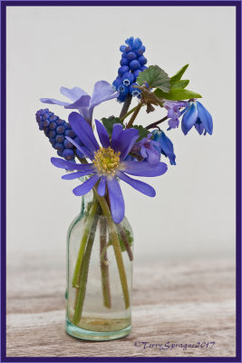 spring bouquet