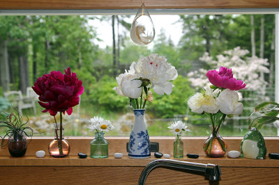 peony time on the kitchen windowsill