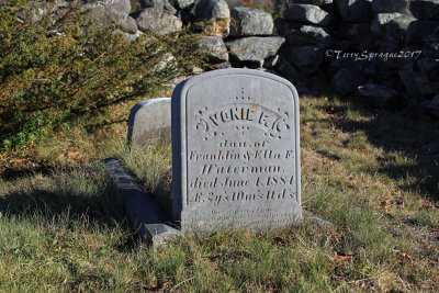 tiny grave