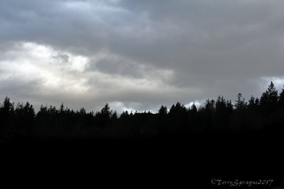 skyline