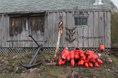 a fisherman's fish tales/tails