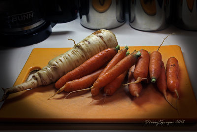 CSA delivery today