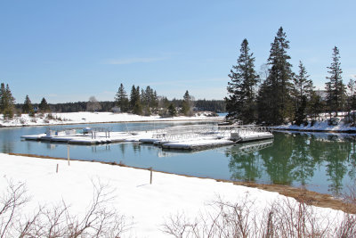 seasonal floats and ramps tethered in Brown's Cove