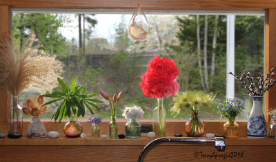 on the kitchen windowsill