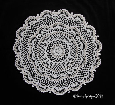Lacy 'Gentle Wind' Doily