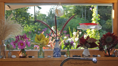 Sunday's kitchen windowsill