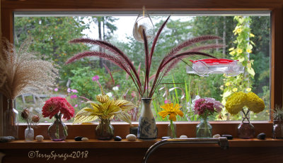 September windowsill