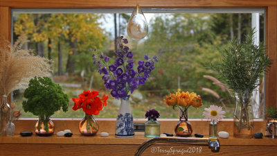 October windowsill 