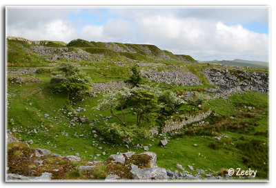 Dartmoor