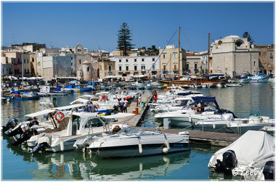 Trani