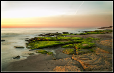 Coquina Outcrop Ft Fisher