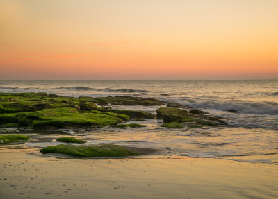 Coquina Outcrop Ft Fisher