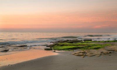 Coquina Outcrop Ft Fisher