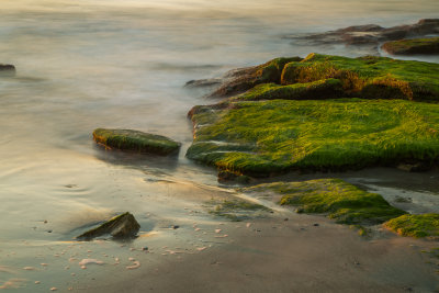 Coquina Outcrop Ft Fisher