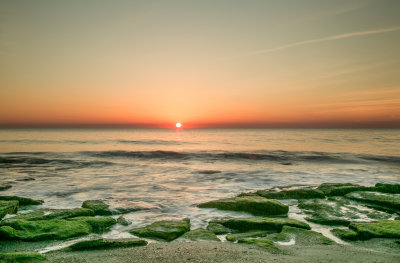 Coquina Outcrop Ft Fisher