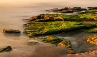 Early Morning Mist