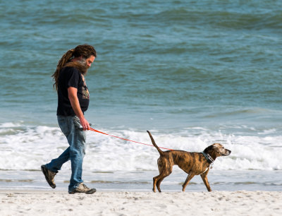 Beach Dog Walker