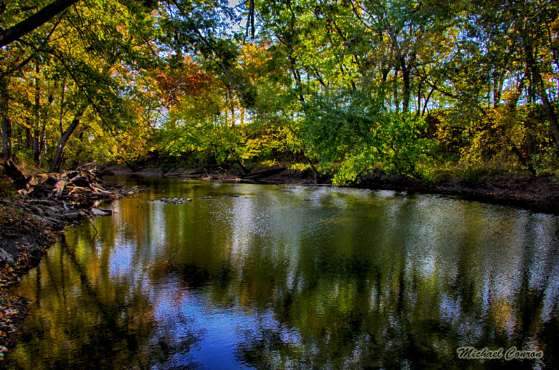 Early Morning Creek Scene