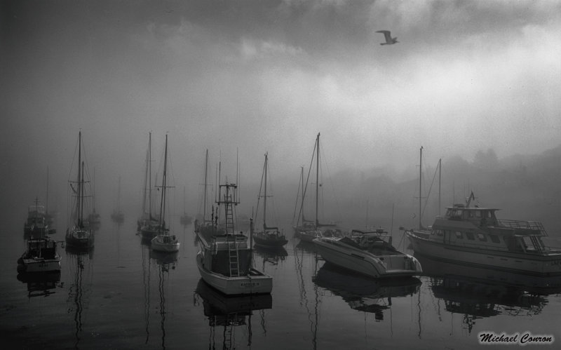 Foggy Maine Morning