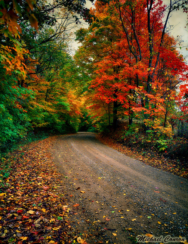Fall Scene Near Williamsport, Indiana