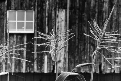 g10/98/25598/3/165966660.WY22e5P4.jpg