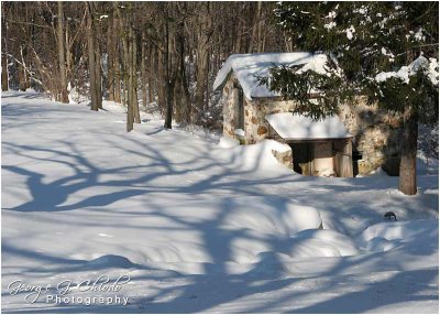 Winter at the Springhouse