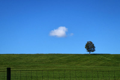 Lone Tree, Lone Cloud