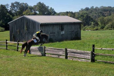 Fun With Horses