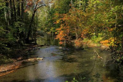 Color on the Brandywine