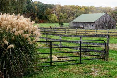 Fall on the Farm